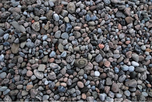 Cobble stones found along Awenda’s beaches.