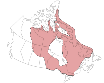 Range of the Canadian Shield. Photo Credit: Holly O’Rourke / The Canadian Encyclopedia