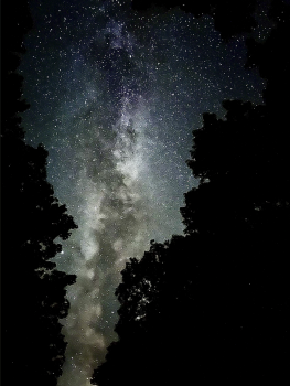 1st Place: Starry Night by Alex Johns