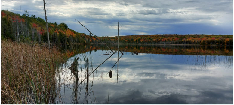 2nd Place: Fall Colour At Kettle's Lake By Dave Rose